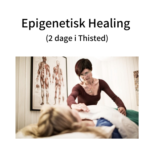 Epigenetic healing workshop 14-15. November 2023 in Thisted