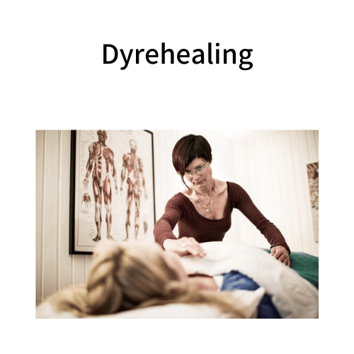 Dyrehealing - Start 23. april 2022 KØBENHAVN (RATE BETALING)