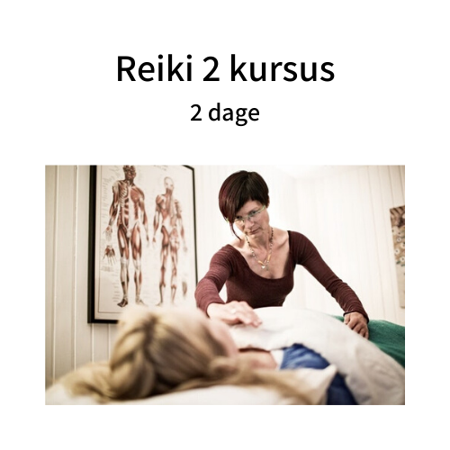 Reiki 2 - Start 30 Sept and 01 Oct 2023 Copenhagen (INSTALLMENT PAYMENT)